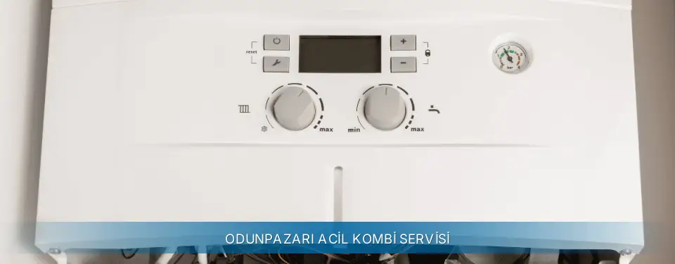 Odunpazarı İlçemi Termoteknik Acil Kombi Servisi