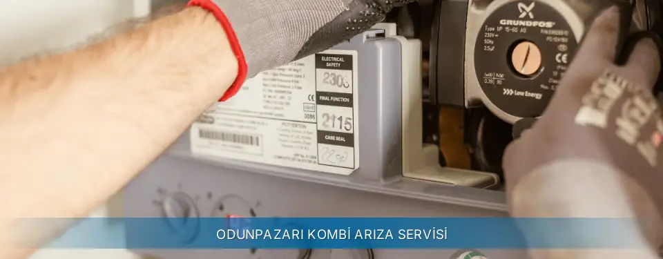 Odunpazarı İlçemi Termoteknik Kombi Arıza Servisi