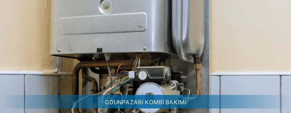 Odunpazarı İlçemi Termoteknik Kombi Bakımı