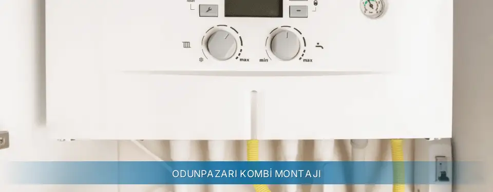 Odunpazarı İlçemi Termoteknik Kombi Montajı