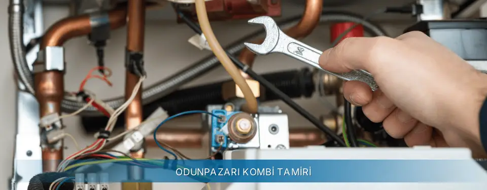 Odunpazarı İlçemi Termoteknik Kombi Tamiri