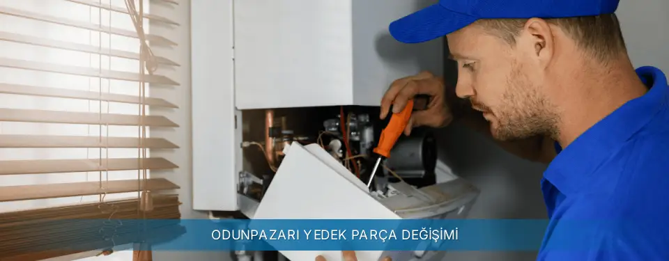 Odunpazarı İlçemi Termoteknik Yedek Parça Değişimi